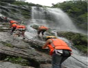 ���ֺ�Ư�����^(q��)